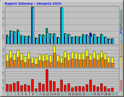 Raport Dzienny - sierpnia 2025