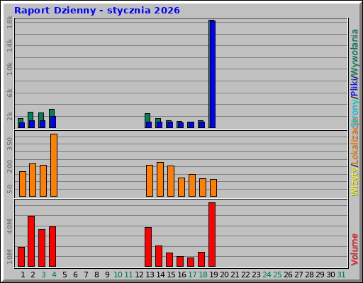 Raport Dzienny - stycznia 2026