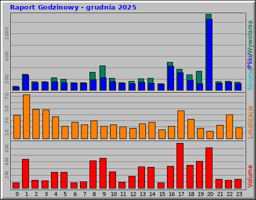Raport Godzinowy - grudnia 2025